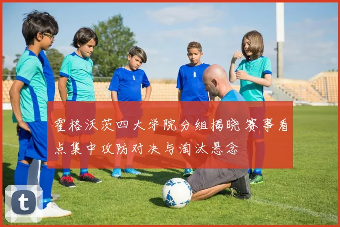 霍格沃茨四大学院分组揭晓 赛事看点集中攻防对决与淘汰悬念