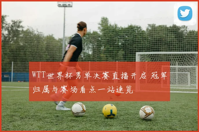 WTT世界杯男单决赛直播开启 冠军归属与赛场看点一站速览