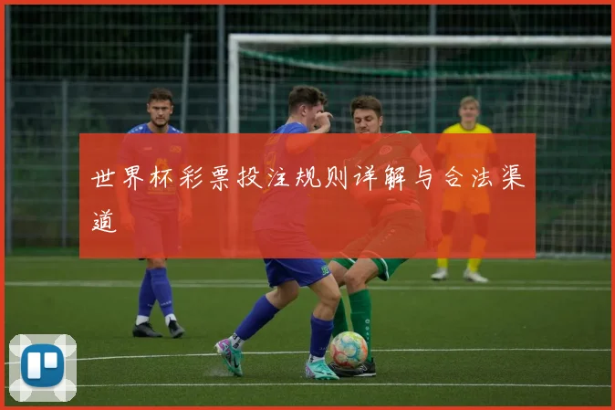 世界杯彩票投注规则详解与合法渠道
