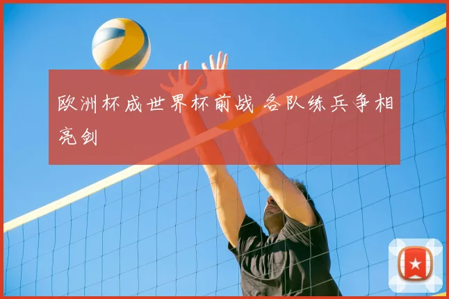 欧洲杯成世界杯前战 各队练兵争相亮剑
