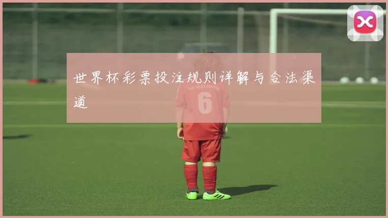 世界杯彩票投注规则详解与合法渠道