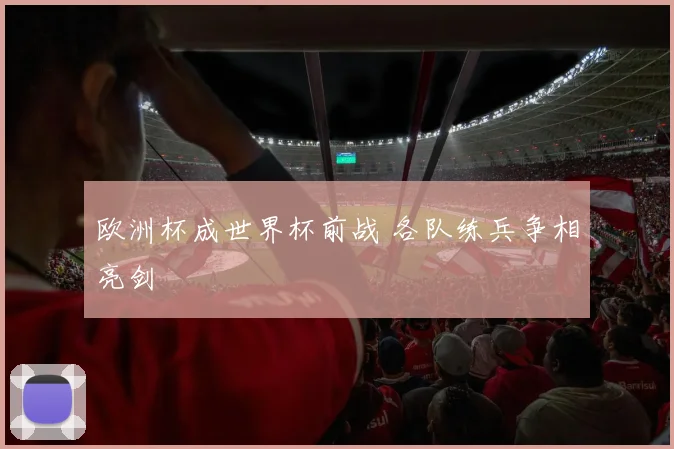 欧洲杯成世界杯前战 各队练兵争相亮剑