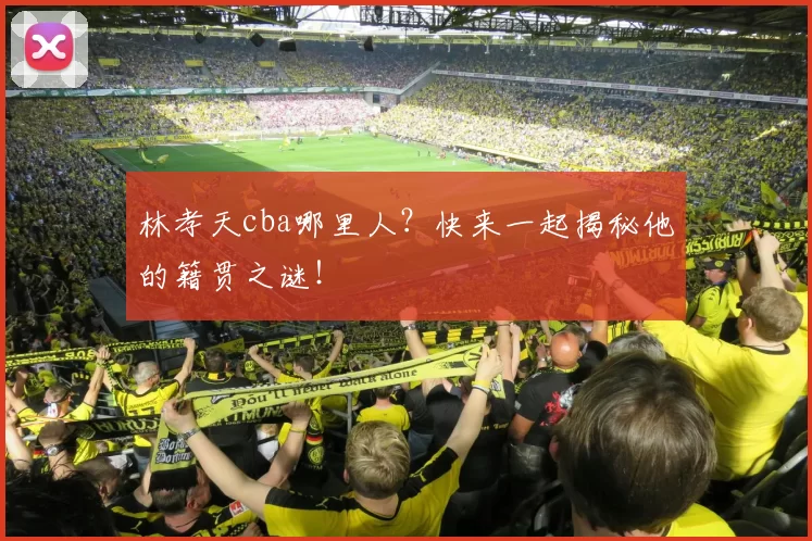 林孝天cba哪里人？快来一起揭秘他的籍贯之谜！